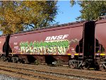 BNSF 491607